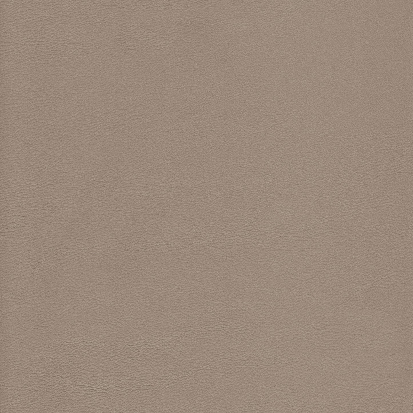 Lena 2526 Sterling taupe leather swatch