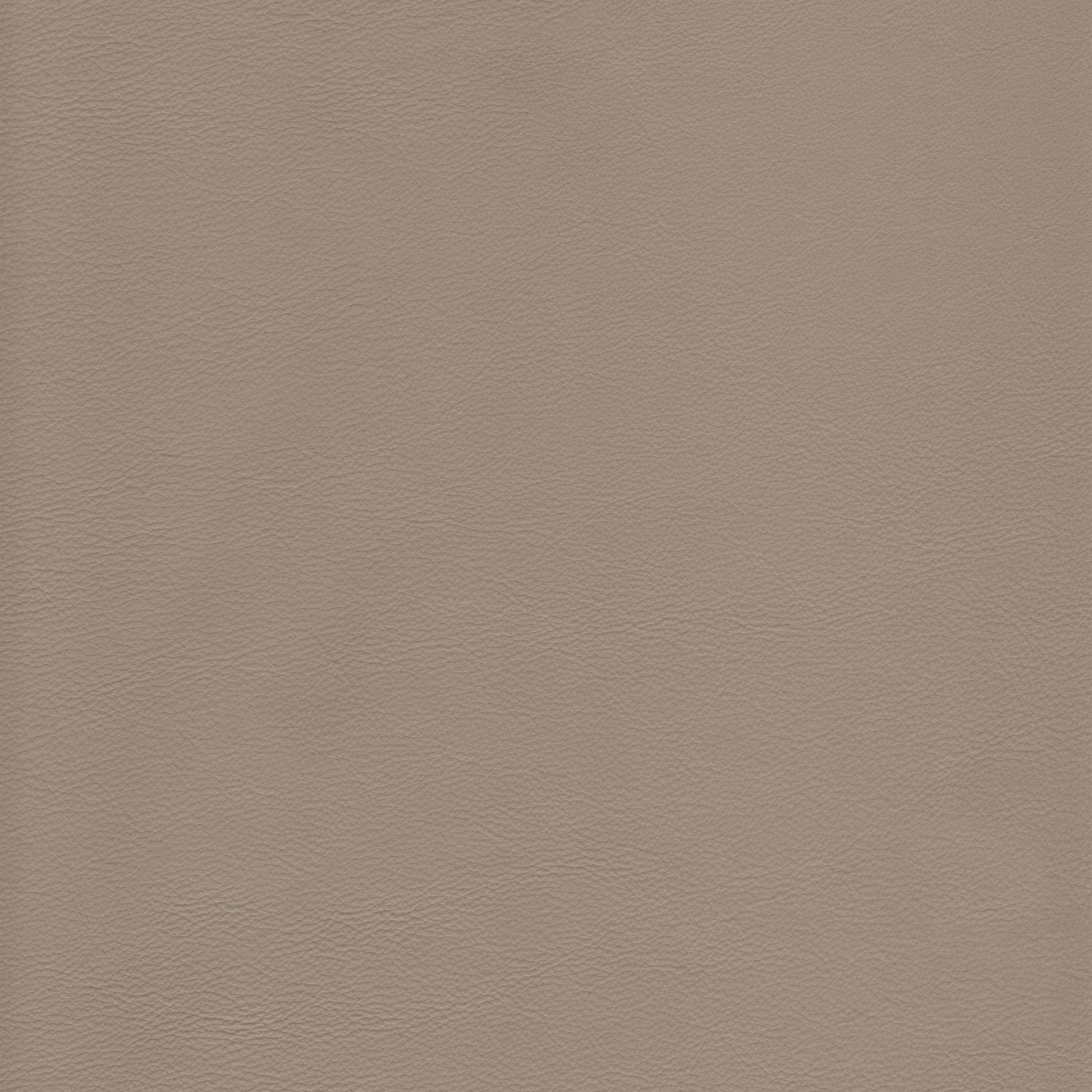 Lena 2526 Sterling taupe leather swatch