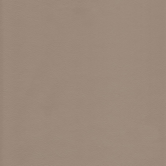 Lena 2526 Sterling taupe leather swatch