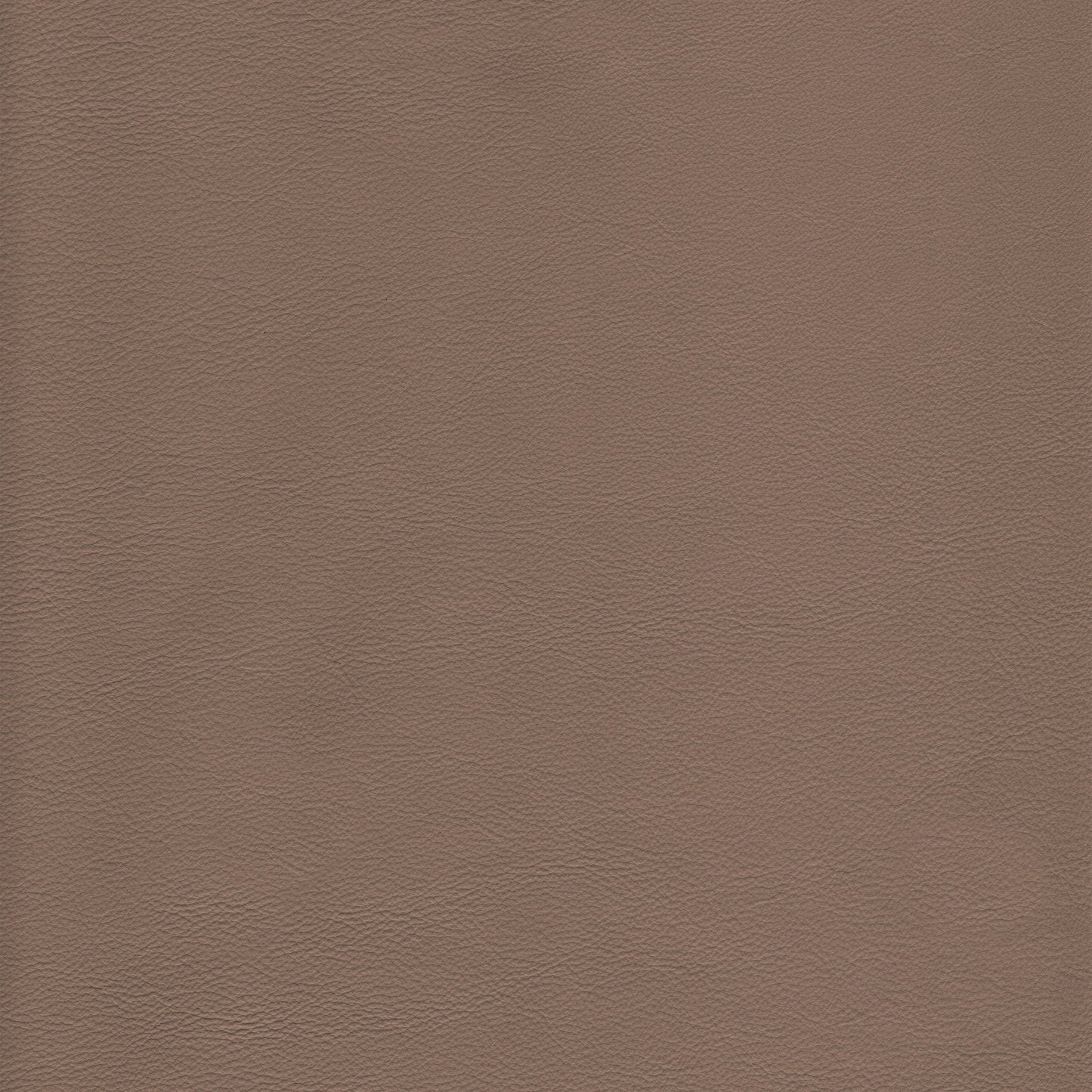 Lena 1414 Cafe Latte leather swatch: textured, taupe-colored hide.