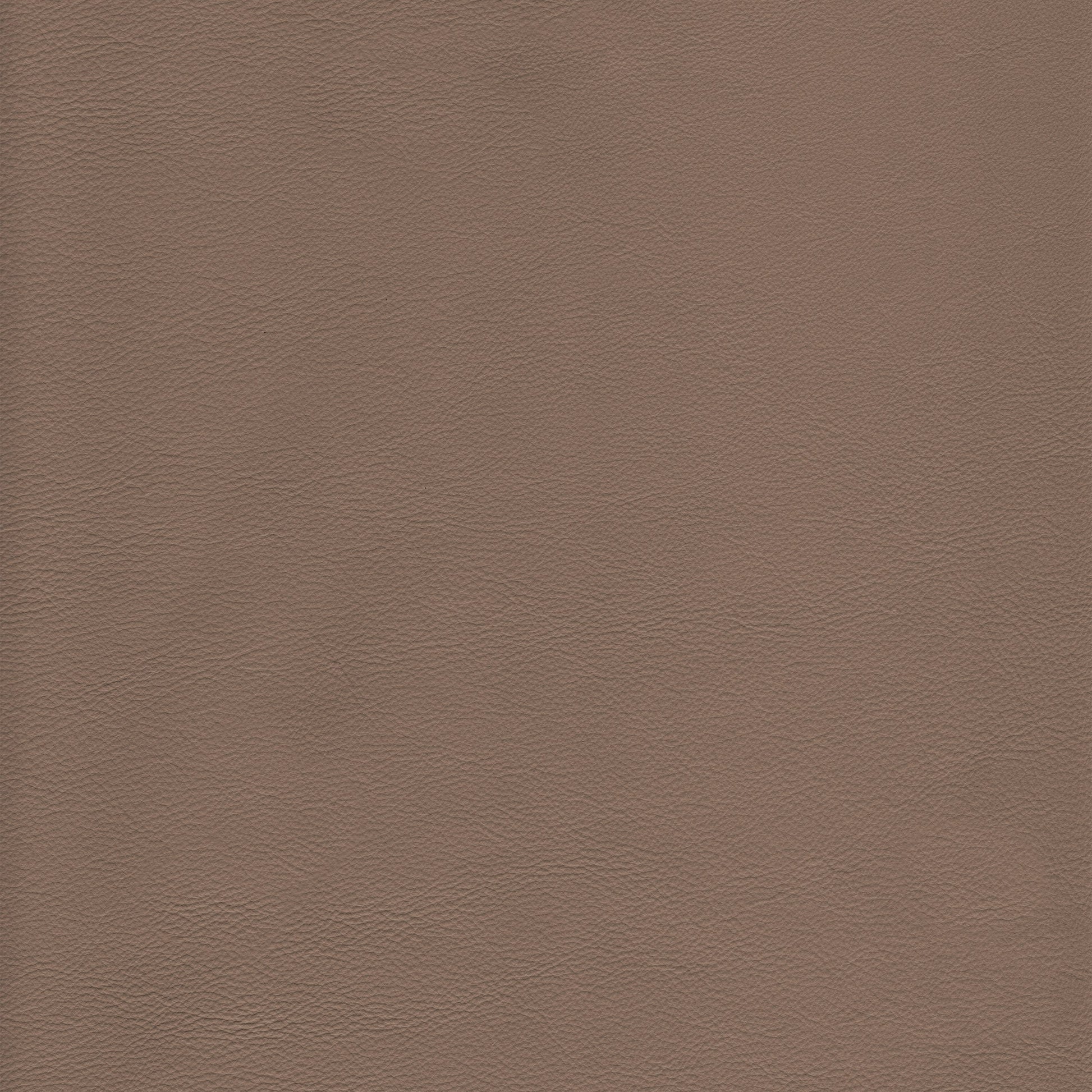 Lena 1414 Cafe Latte leather swatch: textured, taupe-colored hide.