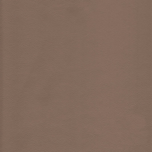 Lena 1414 Cafe Latte leather swatch: textured, taupe-colored hide.