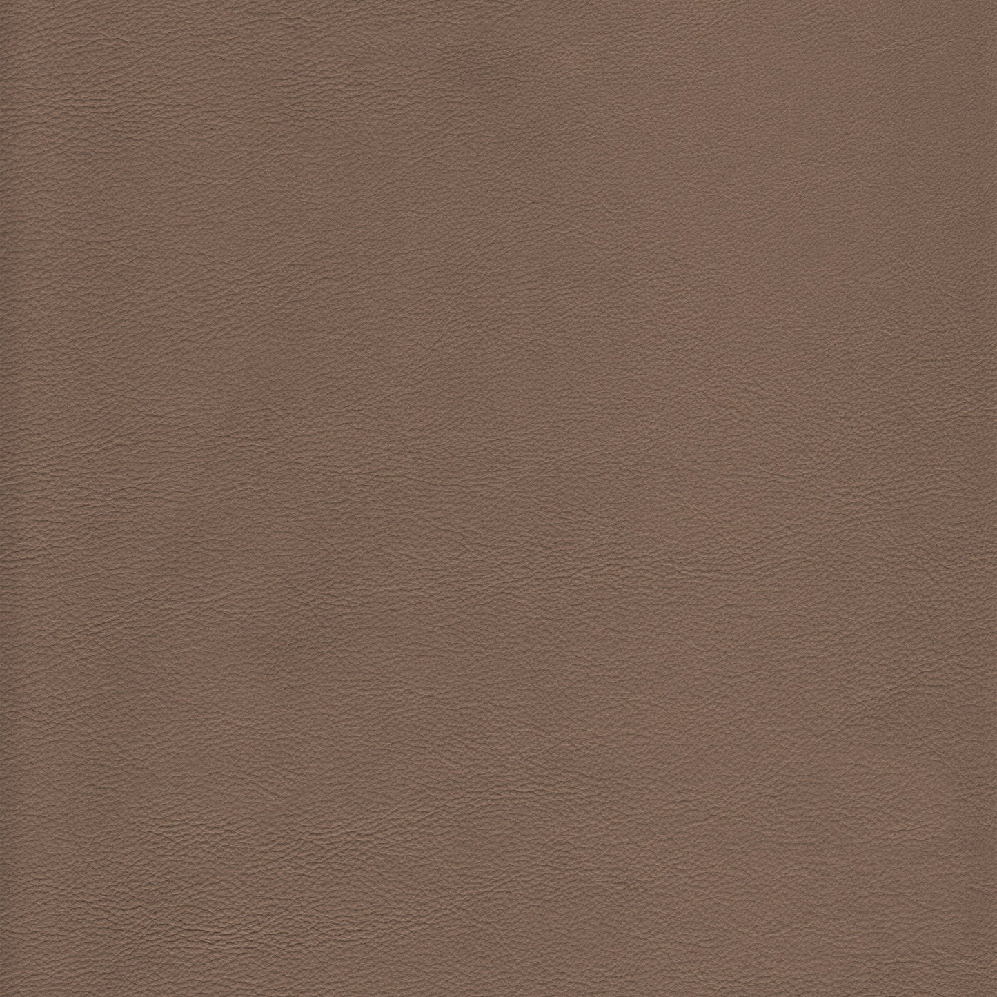 Lena 1433 Pumice leather texture swatch: taupe brown, full-grain.