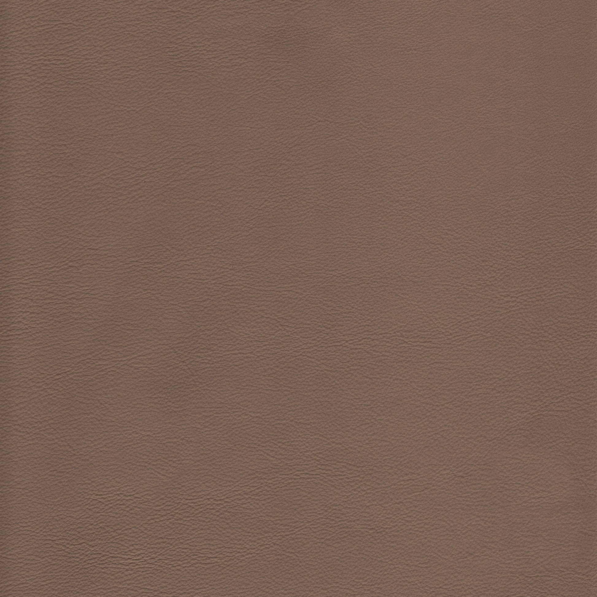 Lena 1433 Pumice leather texture swatch: taupe brown, full-grain.