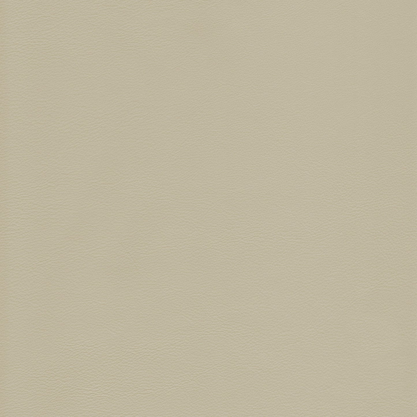 Lena 1464 Elfin leather swatch: light beige, textured grain.