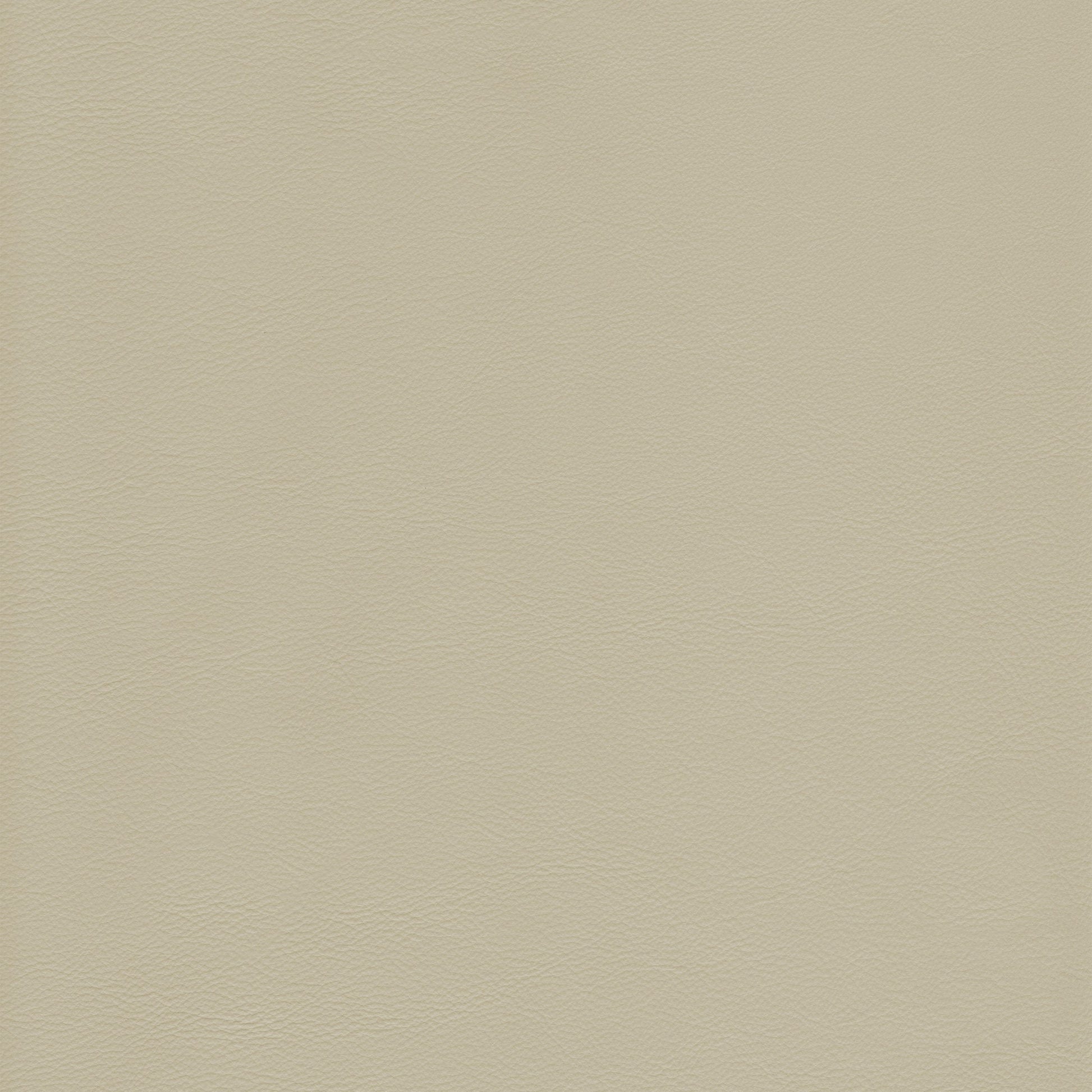 Lena 1464 Elfin leather swatch: light beige, textured grain.