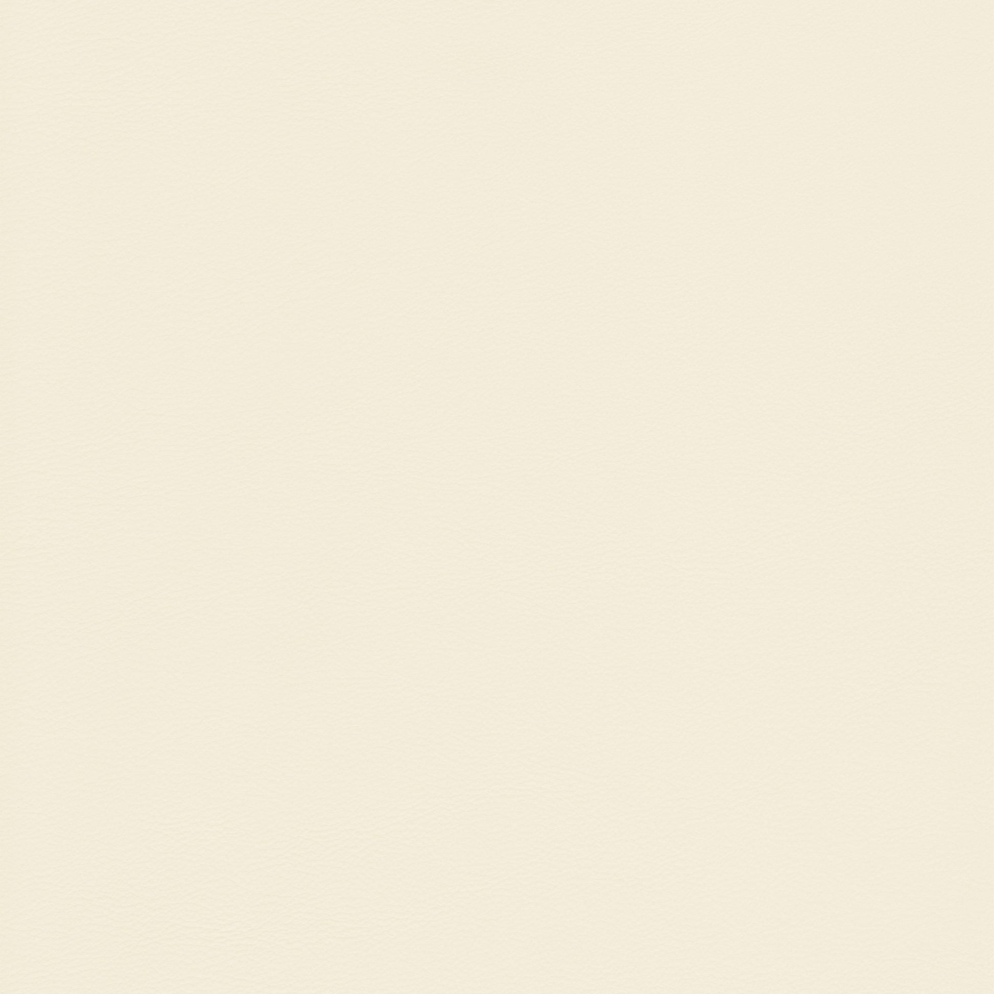 Lena 2202 Stucco: Creamy off-white textured stucco sample.
