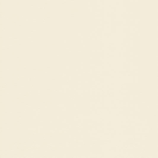 Lena 2202 Stucco: Creamy off-white textured stucco sample.