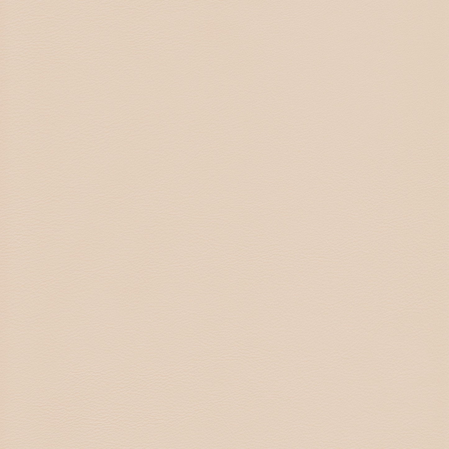 Lena 2204 Chamois leather swatch: creamy beige, textured surface.