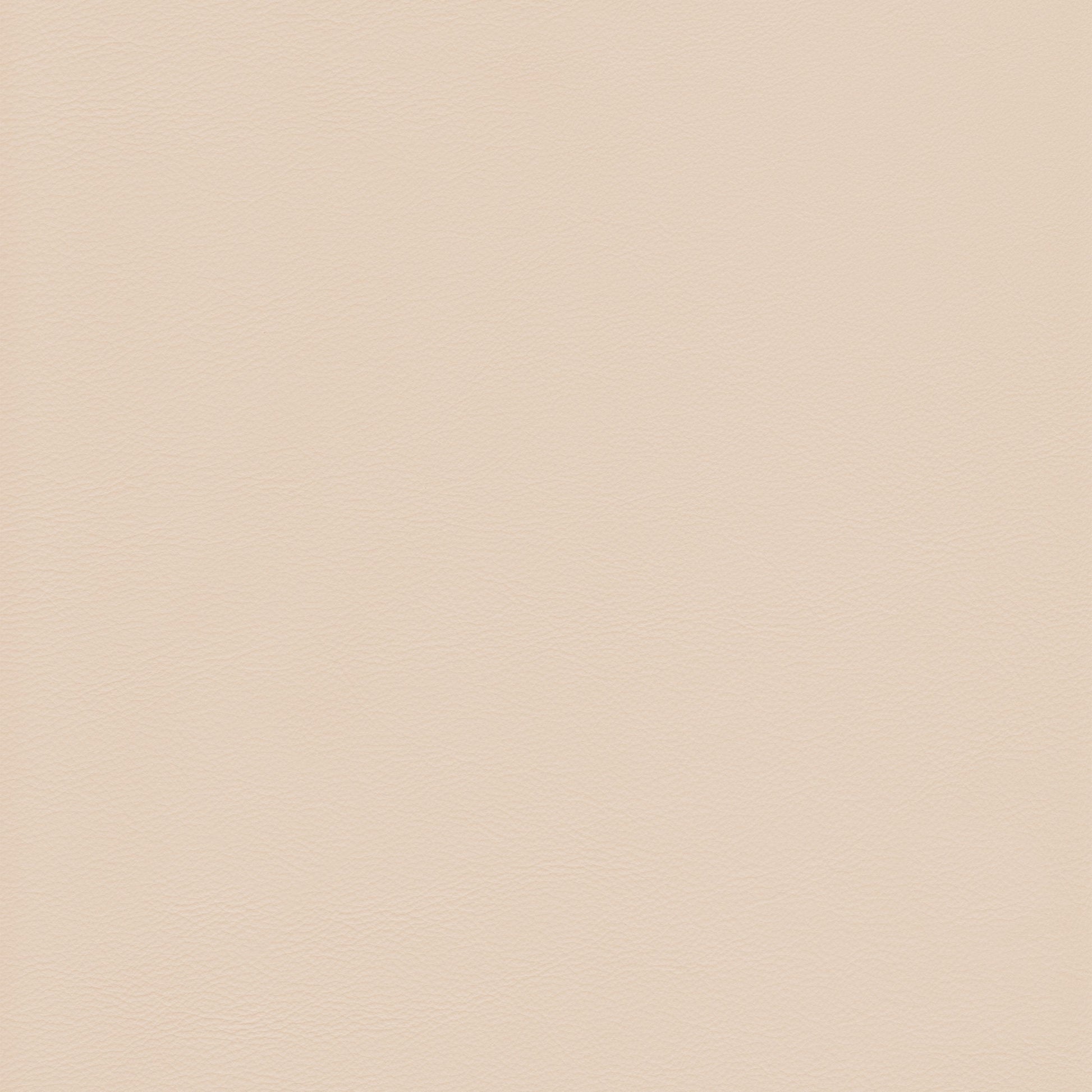 Lena 2204 Chamois leather swatch: creamy beige, textured surface.