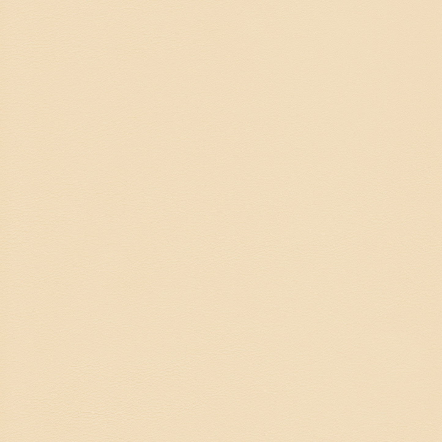 Lena 2206 Vaniglia leather swatch: creamy beige textured background.