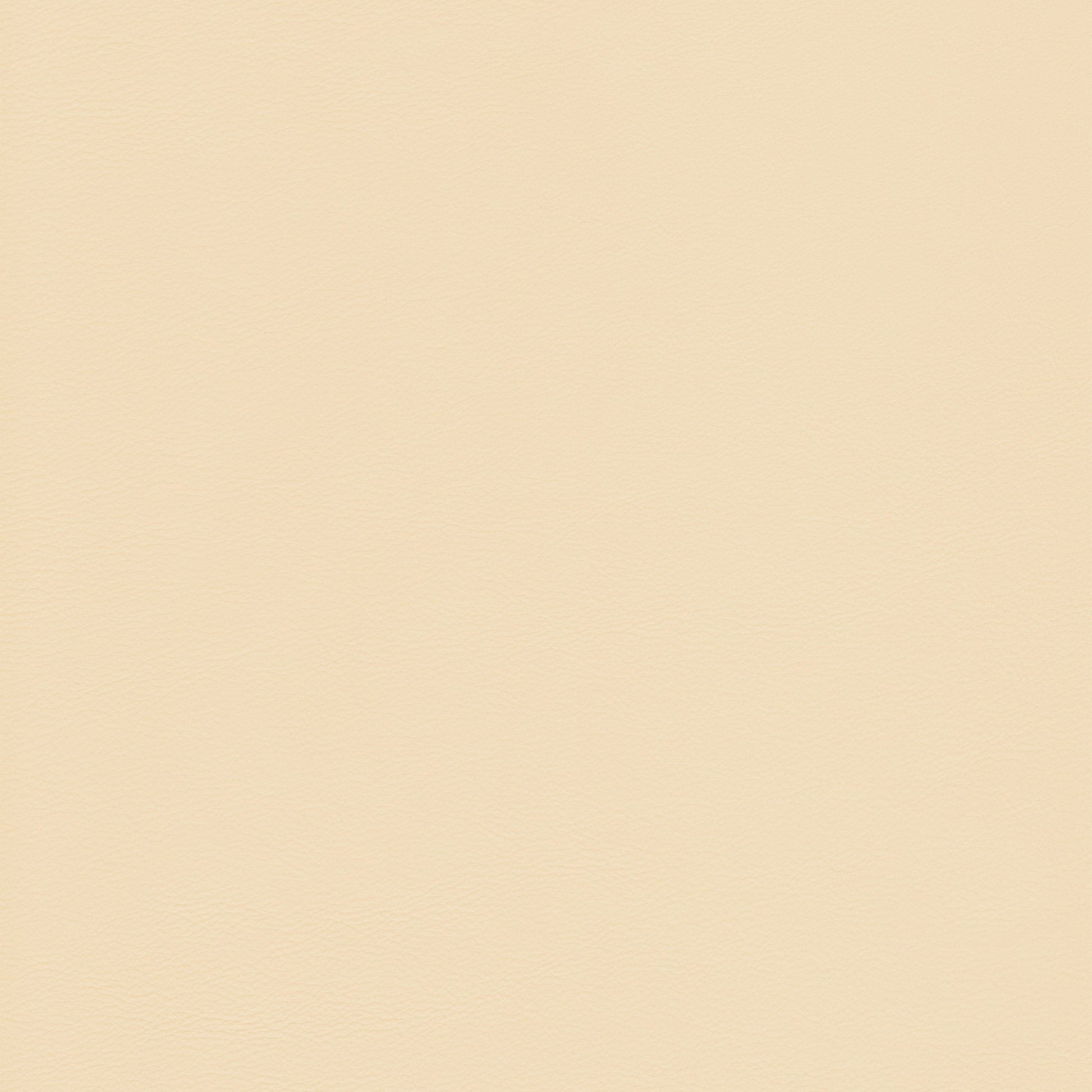 Lena 2206 Vaniglia leather swatch: creamy beige textured background.