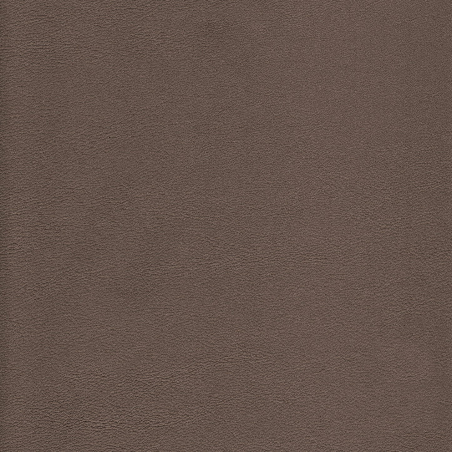 Lena 2210 Thunder: textured taupe leather swatch