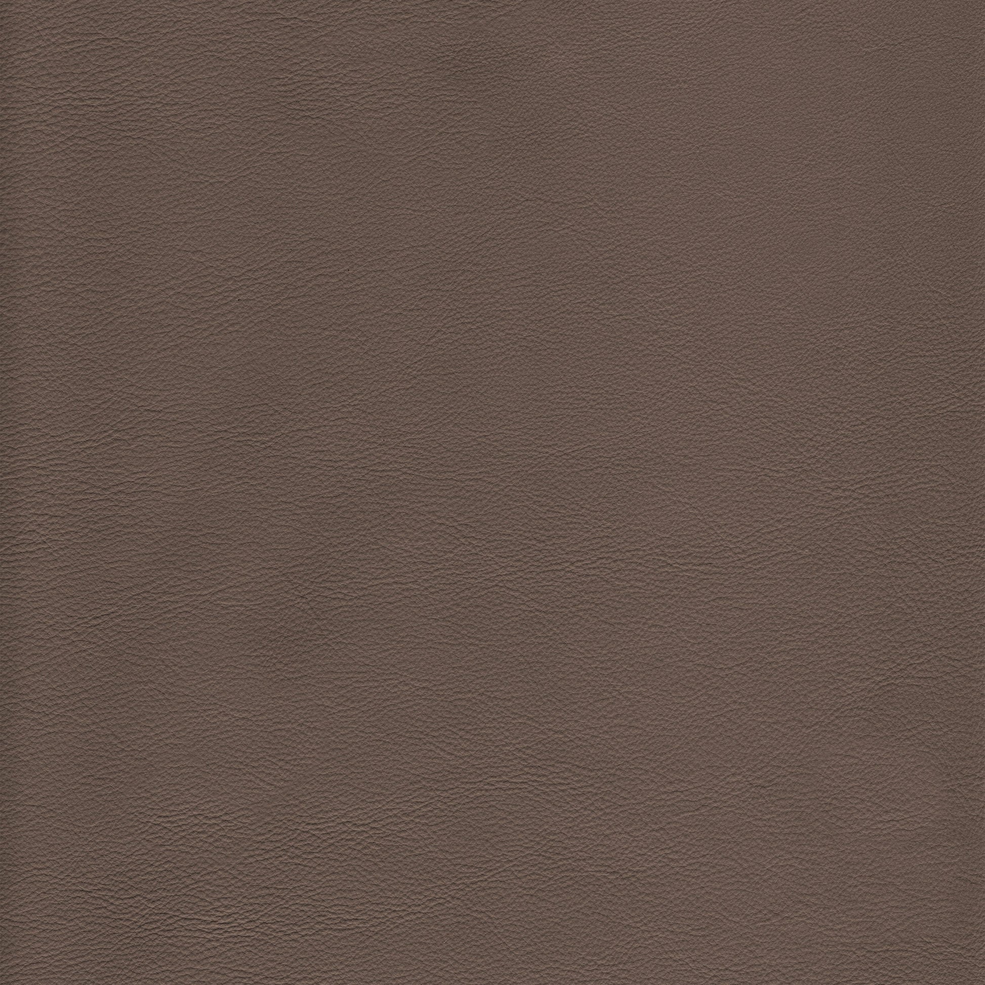 Lena 2210 Thunder: textured taupe leather swatch