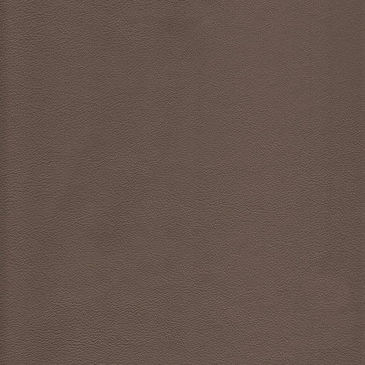 Lena 2210 Thunder: textured taupe leather swatch
