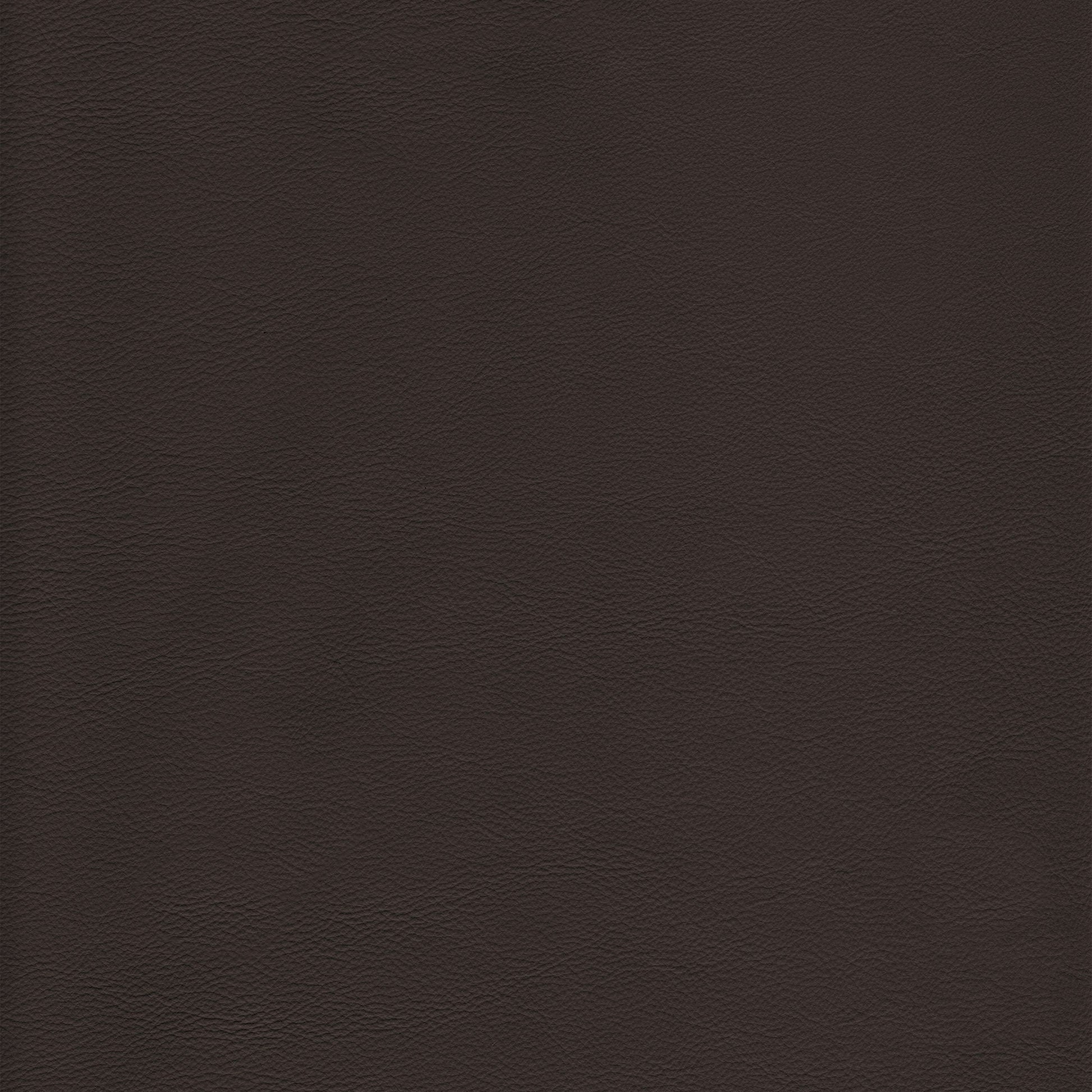 Lena 2500 Pewter leather swatch: rich, dark brown textured vinyl.