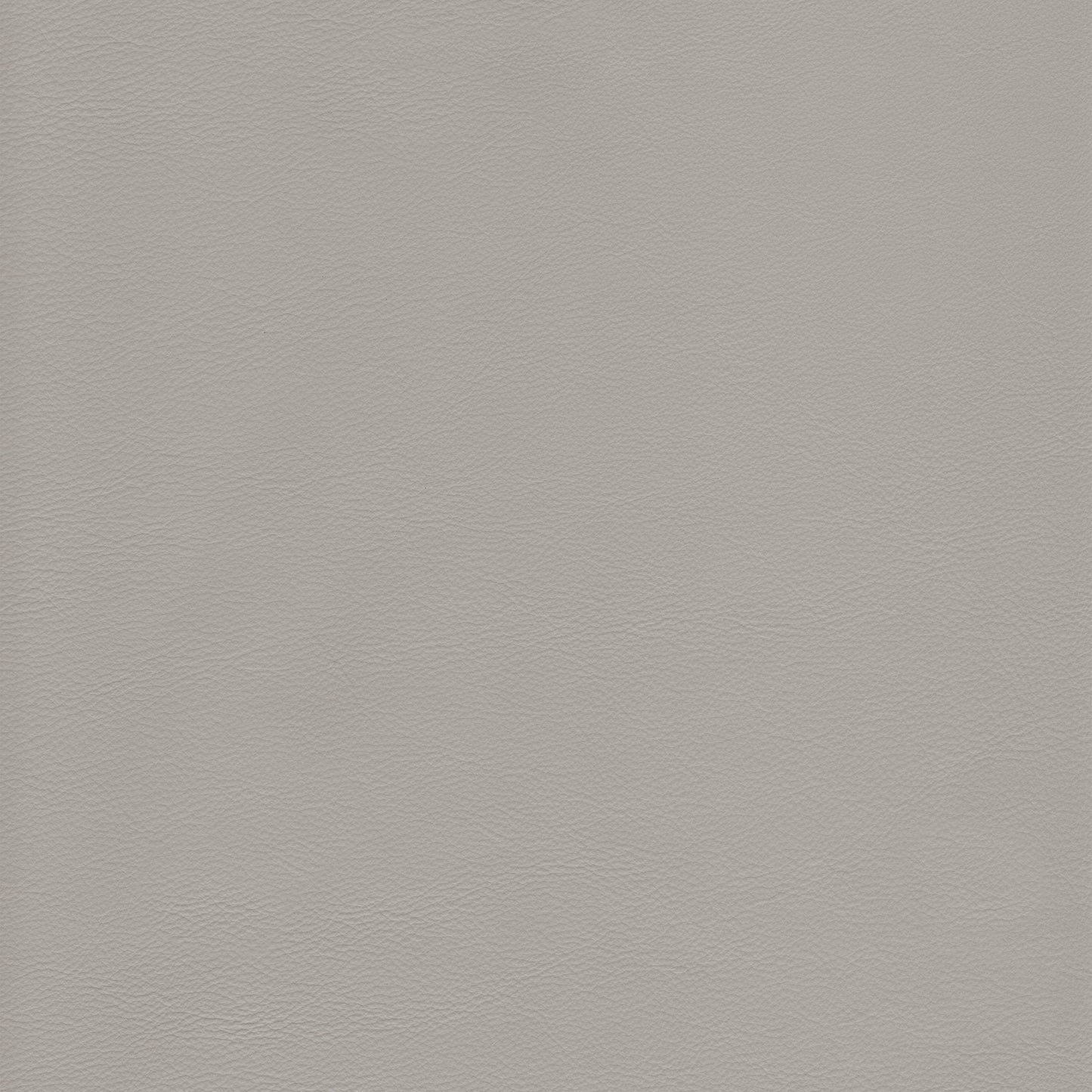 Lena 2523 Mystic light gray textured leather swatch