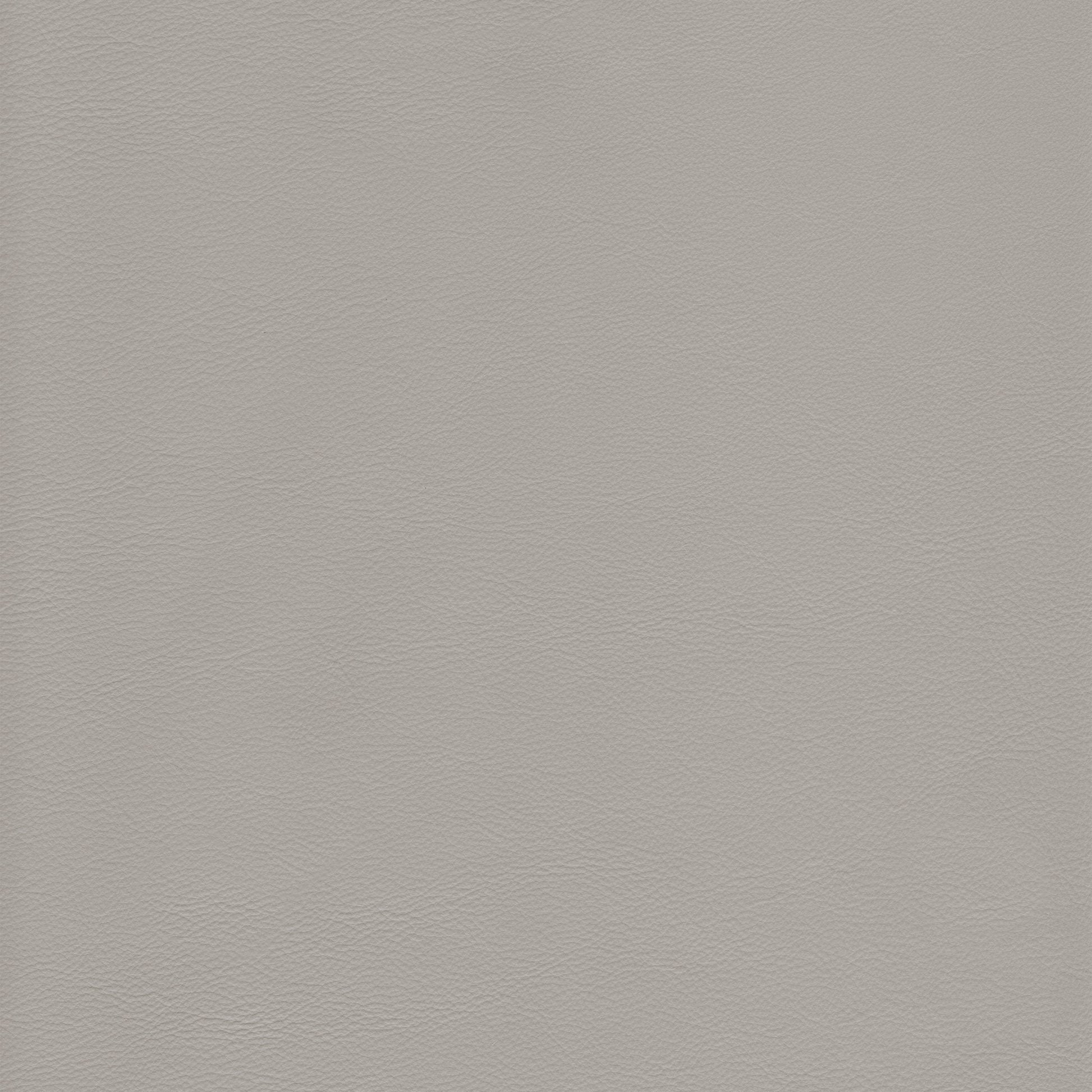 Lena 2523 Mystic light gray textured leather swatch