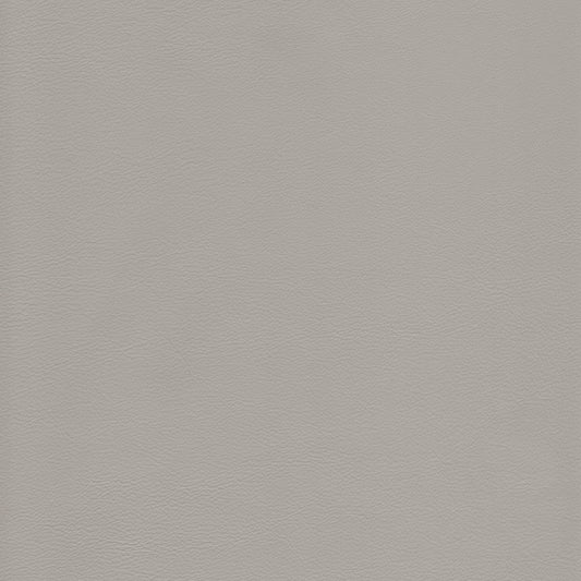 Lena 2523 Mystic light gray textured leather swatch