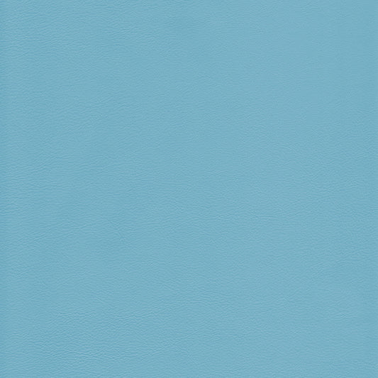 Lena 2527 Caribe light blue textured leather swatch