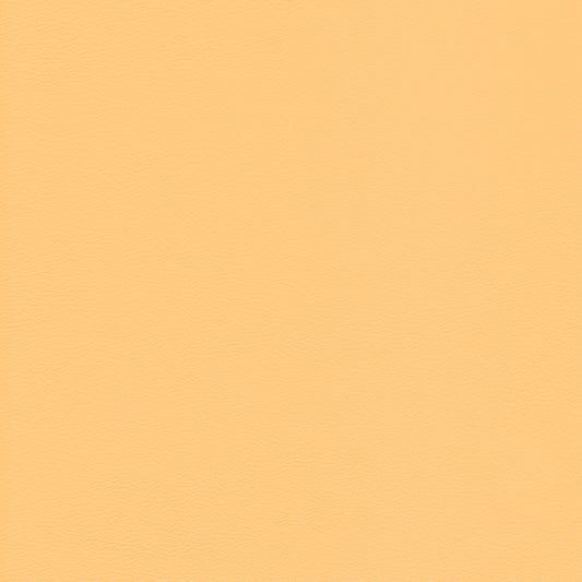 Lena 2532 Melon textured leather swatch