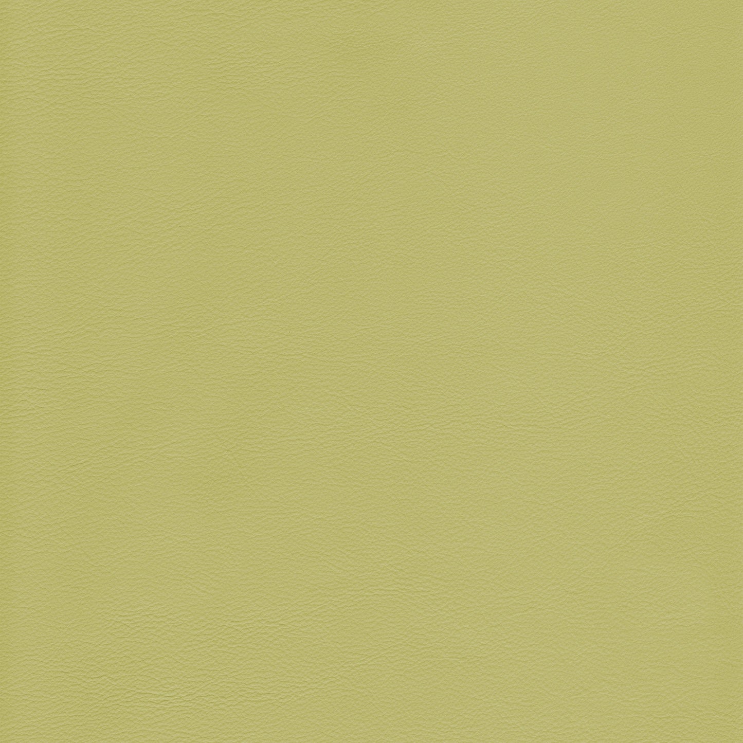 Lena 2535 Pistachio leather swatch: textured, light olive-green hide.