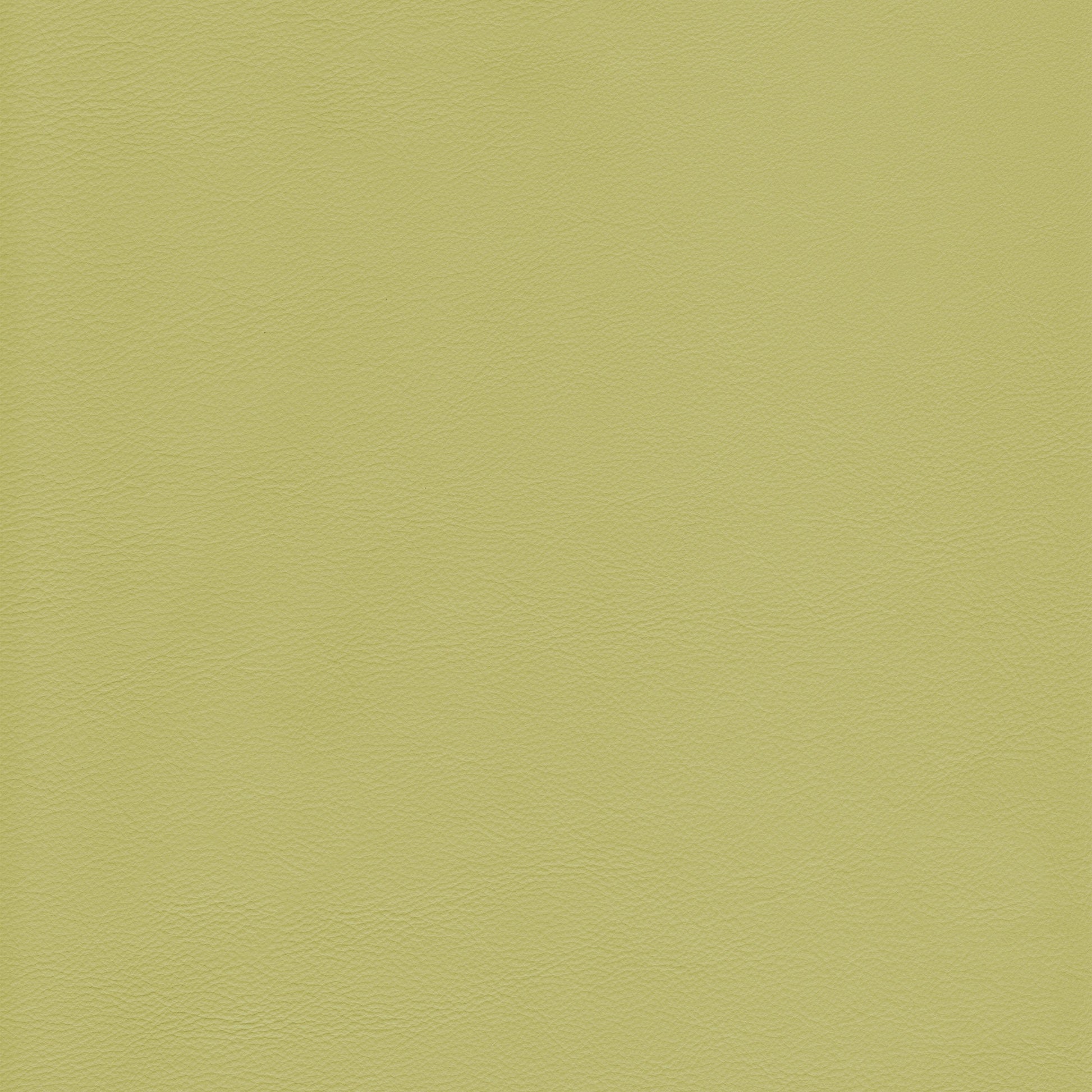 Lena 2535 Pistachio leather swatch: textured, light olive-green hide.