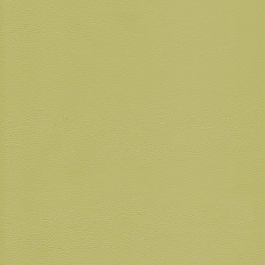 Lena 2535 Pistachio leather swatch: textured, light olive-green hide.