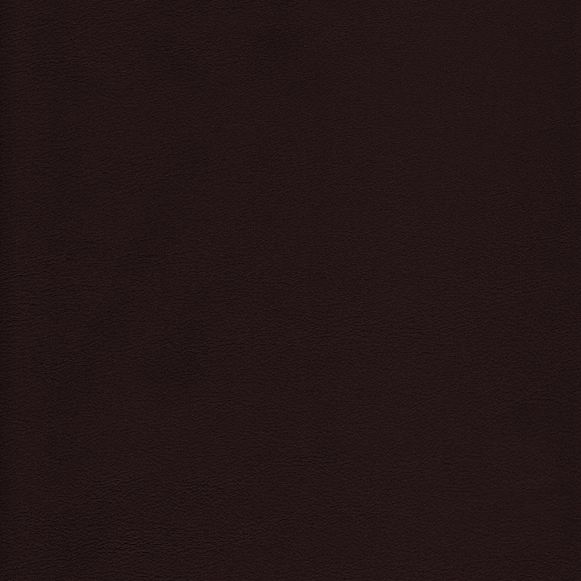 Lena 2557 Java: Dark brown textured leather swatch.