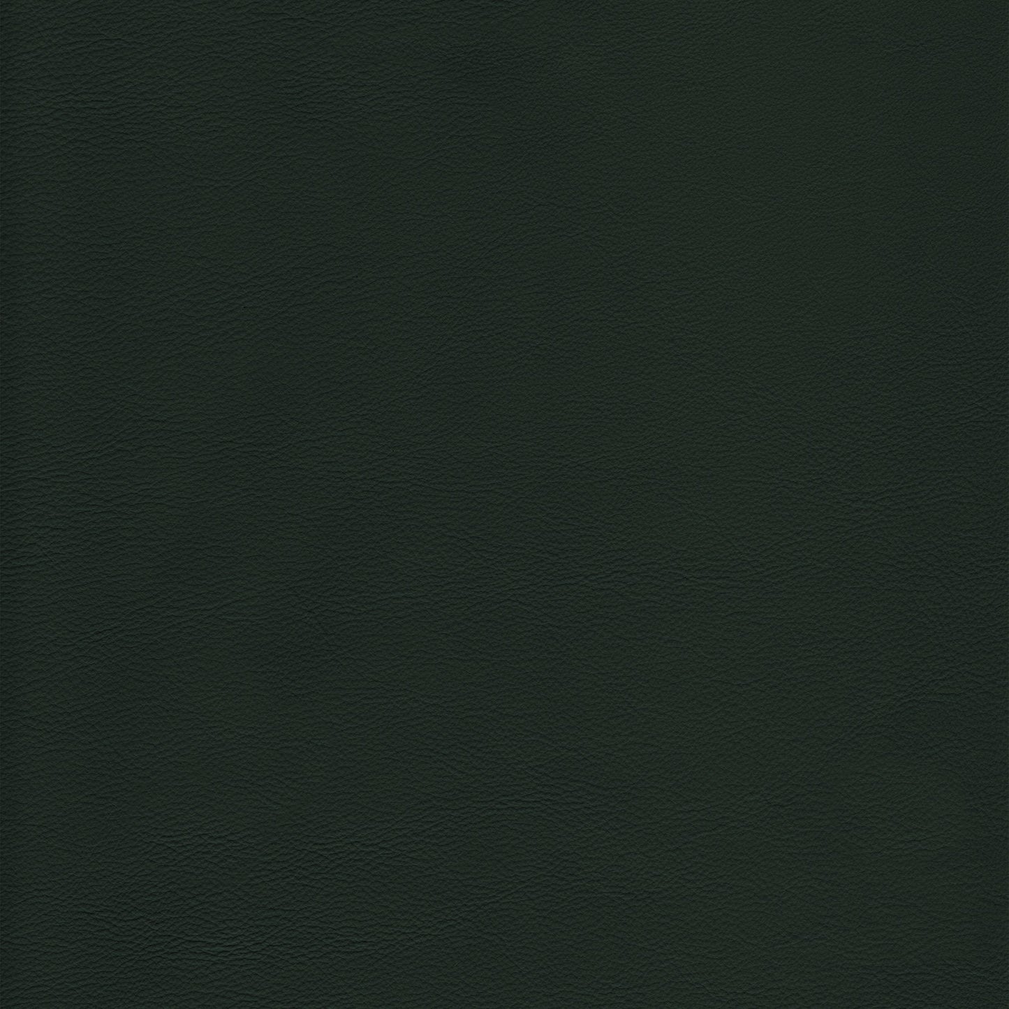 Lena 2561 Evergreen leather swatch: dark green, textured grain.