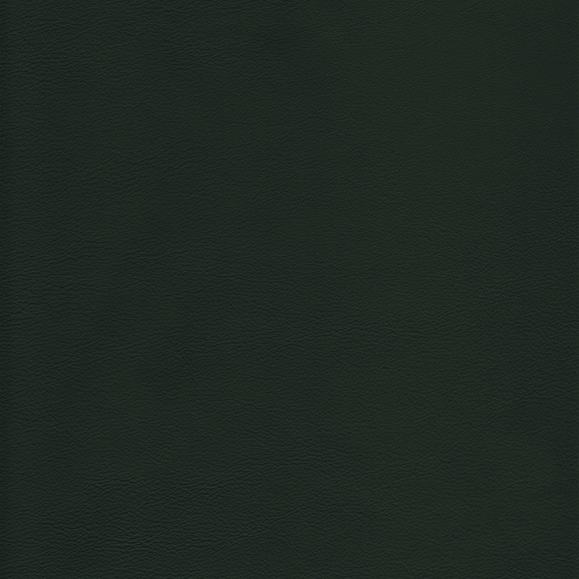 Lena 2561 Evergreen leather swatch: dark green, textured grain.
