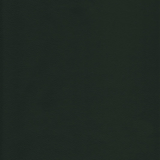 Lena 2561 Evergreen leather swatch: dark green, textured grain.