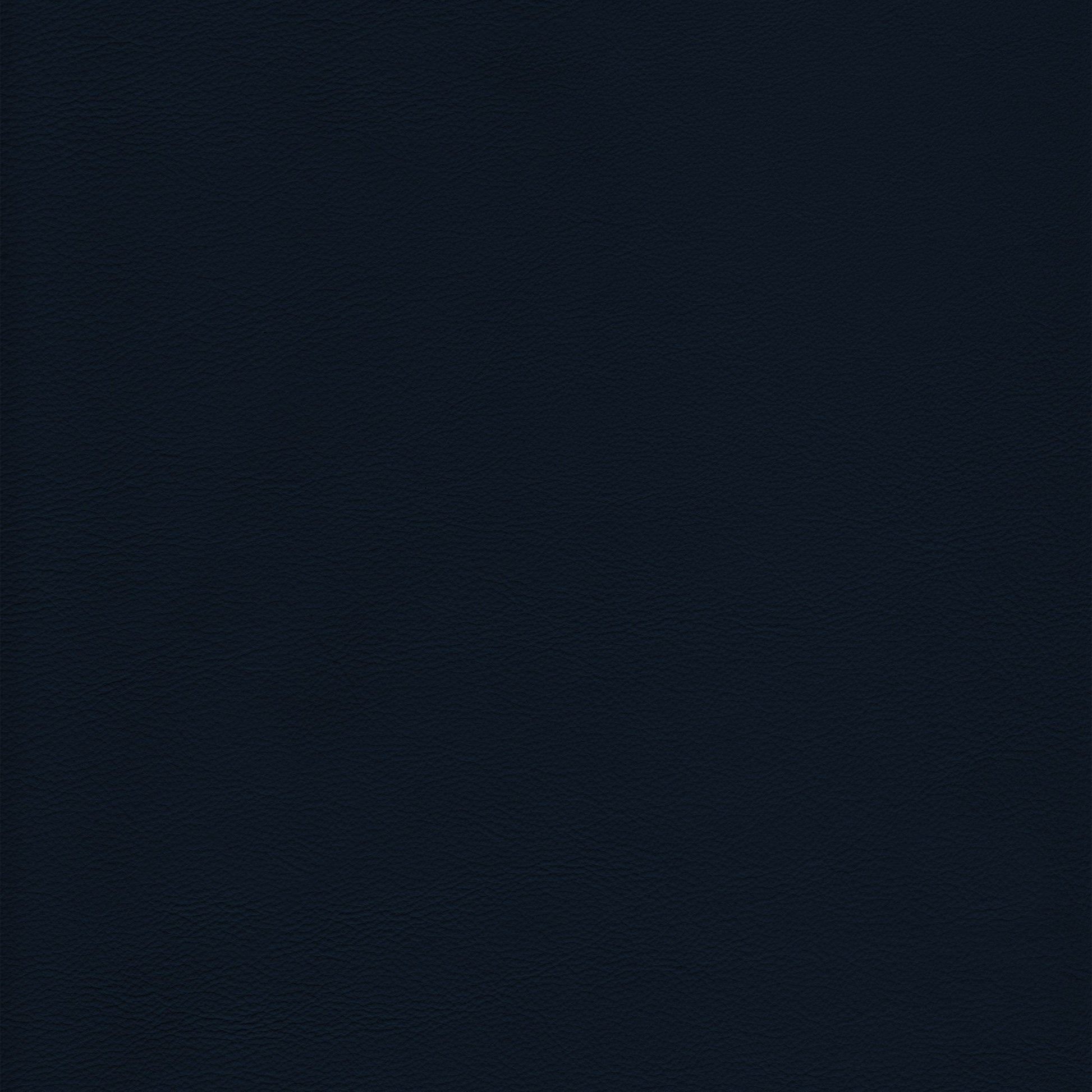Lena 2583 Cobalt leather swatch: deep navy blue, textured grain.