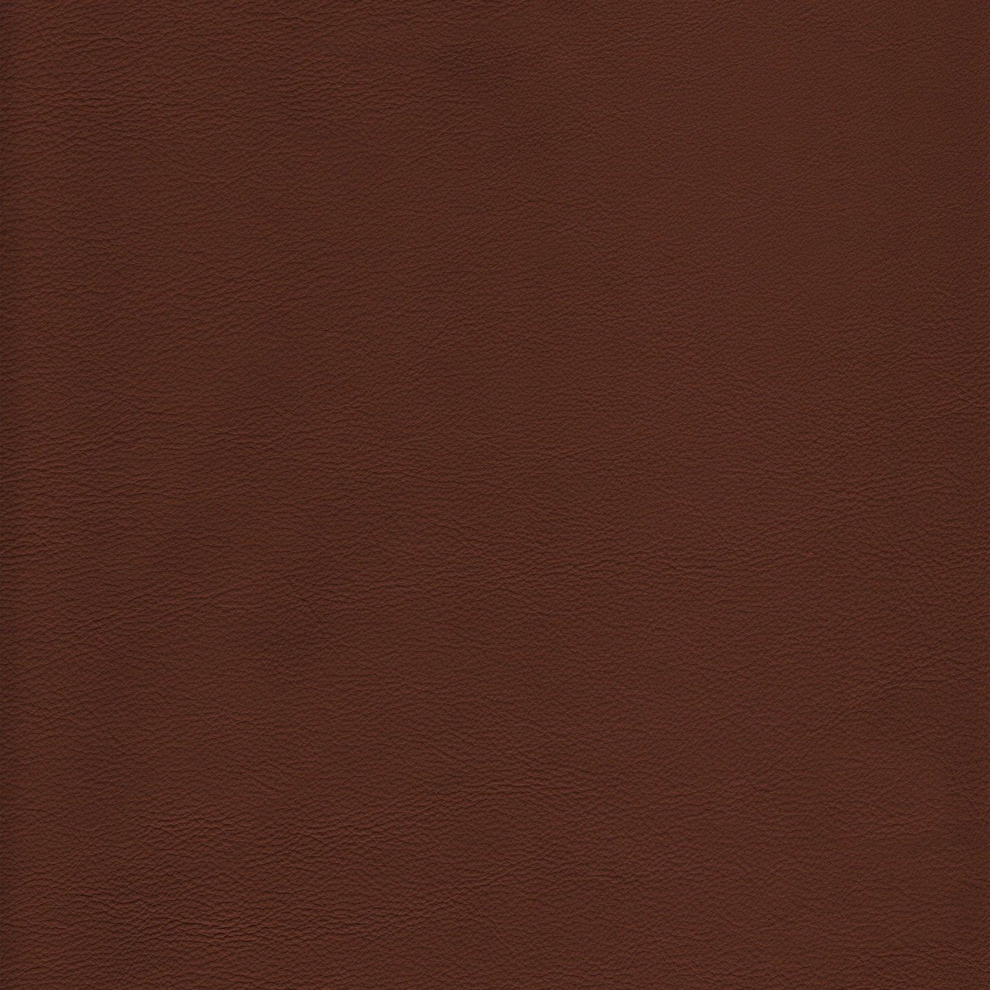 Lena 3324 Nutmeg leather swatch: rich brown, textured grain.