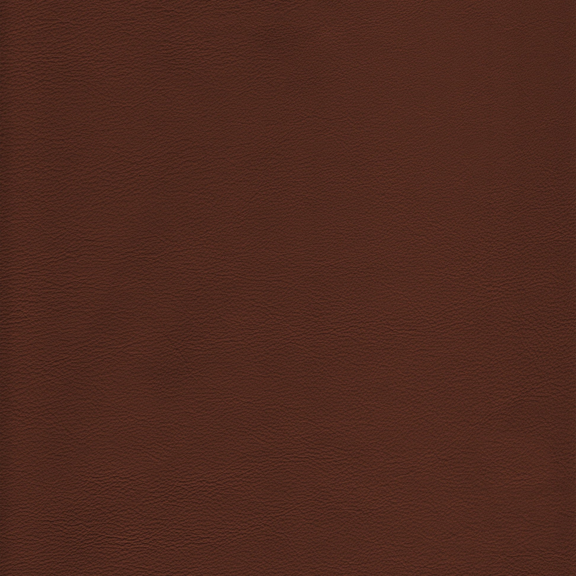 Lena 3324 Nutmeg leather swatch: rich brown, textured grain.