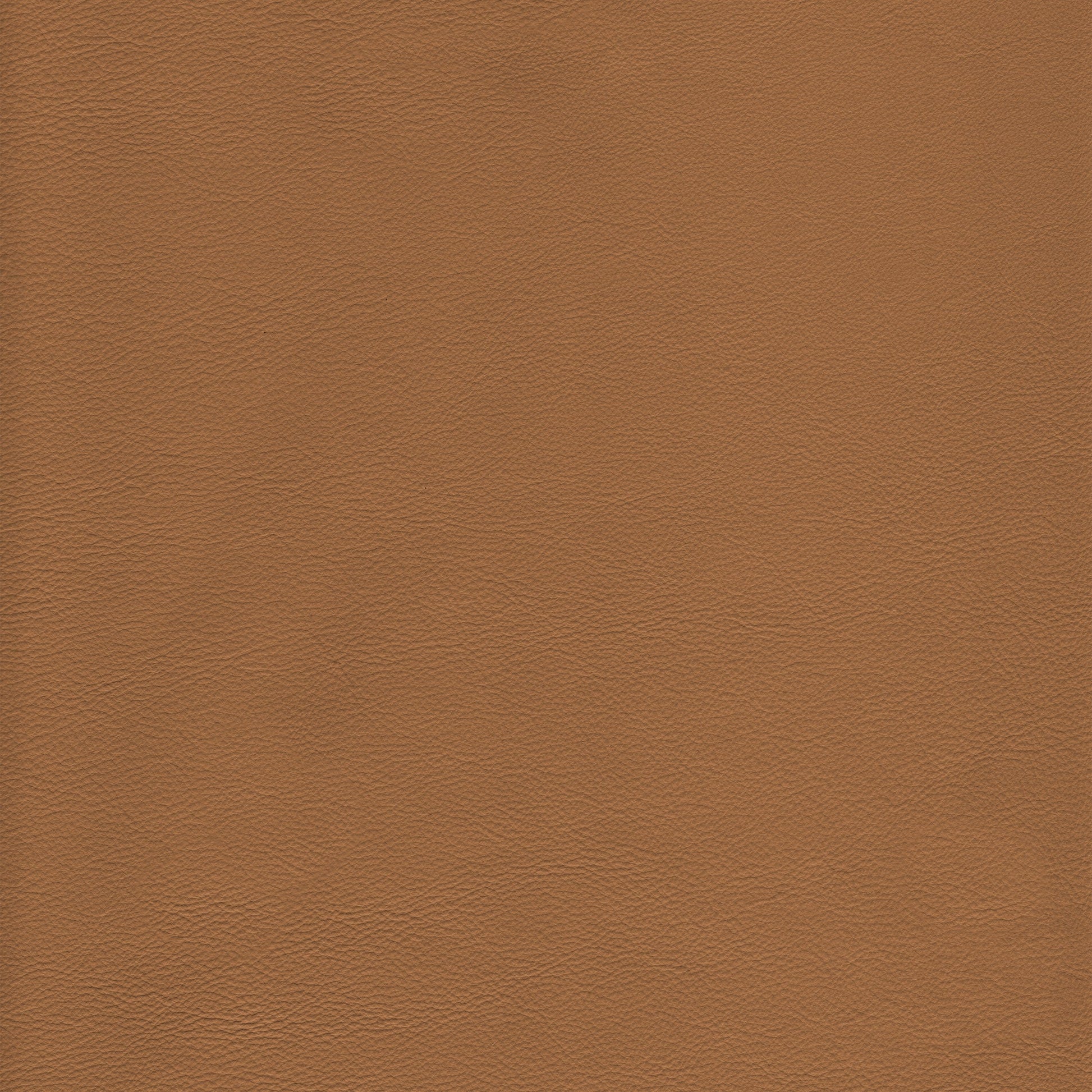 Lena 3328 Camel leather swatch: rich camel brown textured hide.