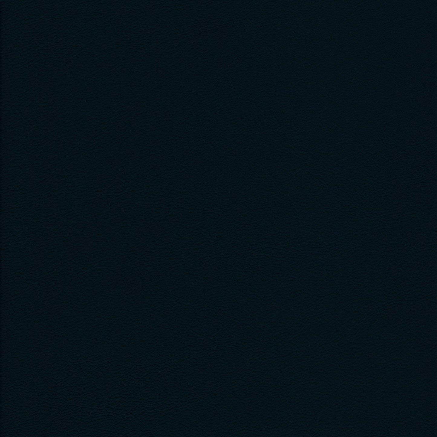 Lena 3338 Navy leather swatch