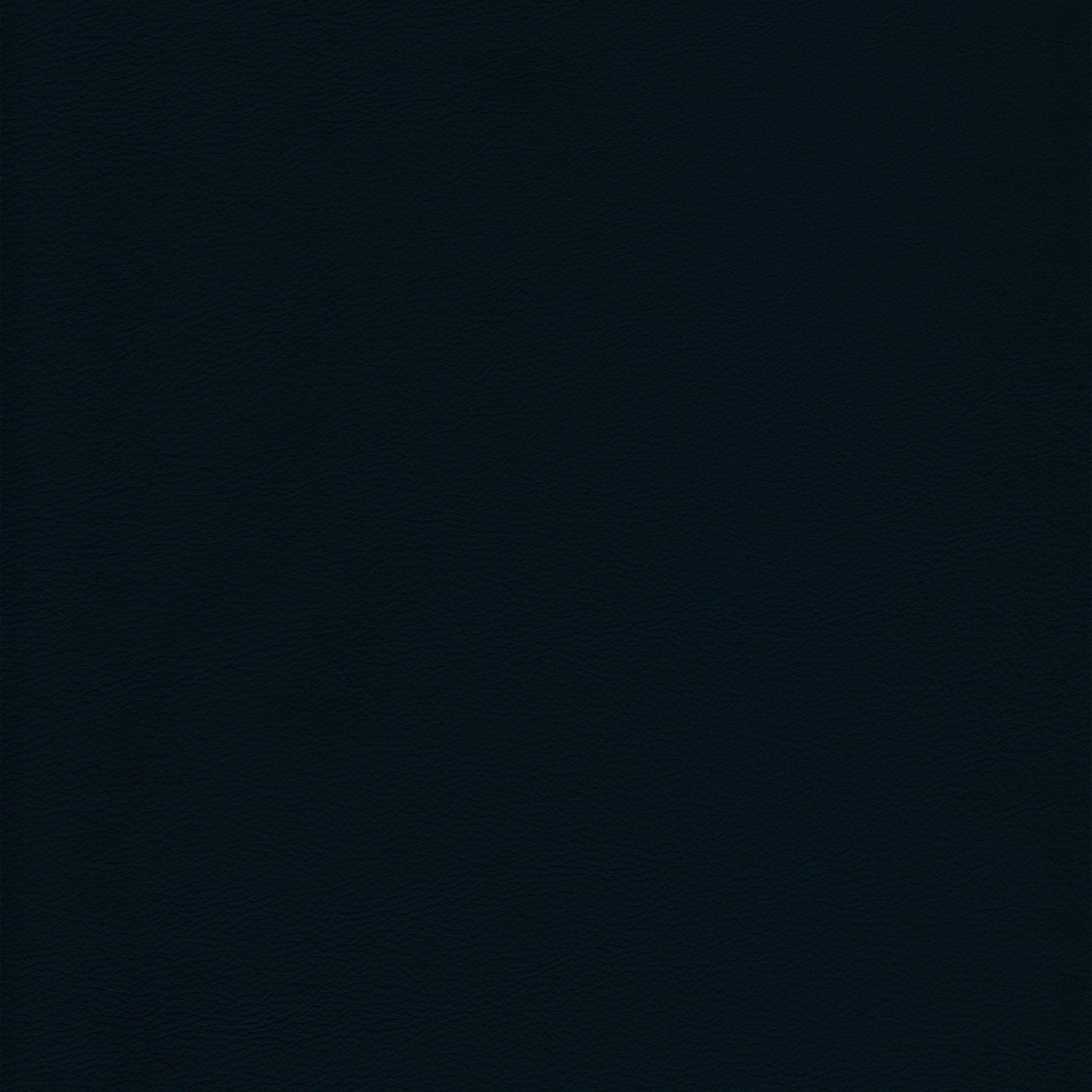 Lena 3338 Navy leather swatch