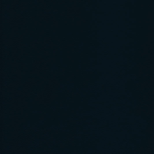 Lena 3338 Navy leather swatch