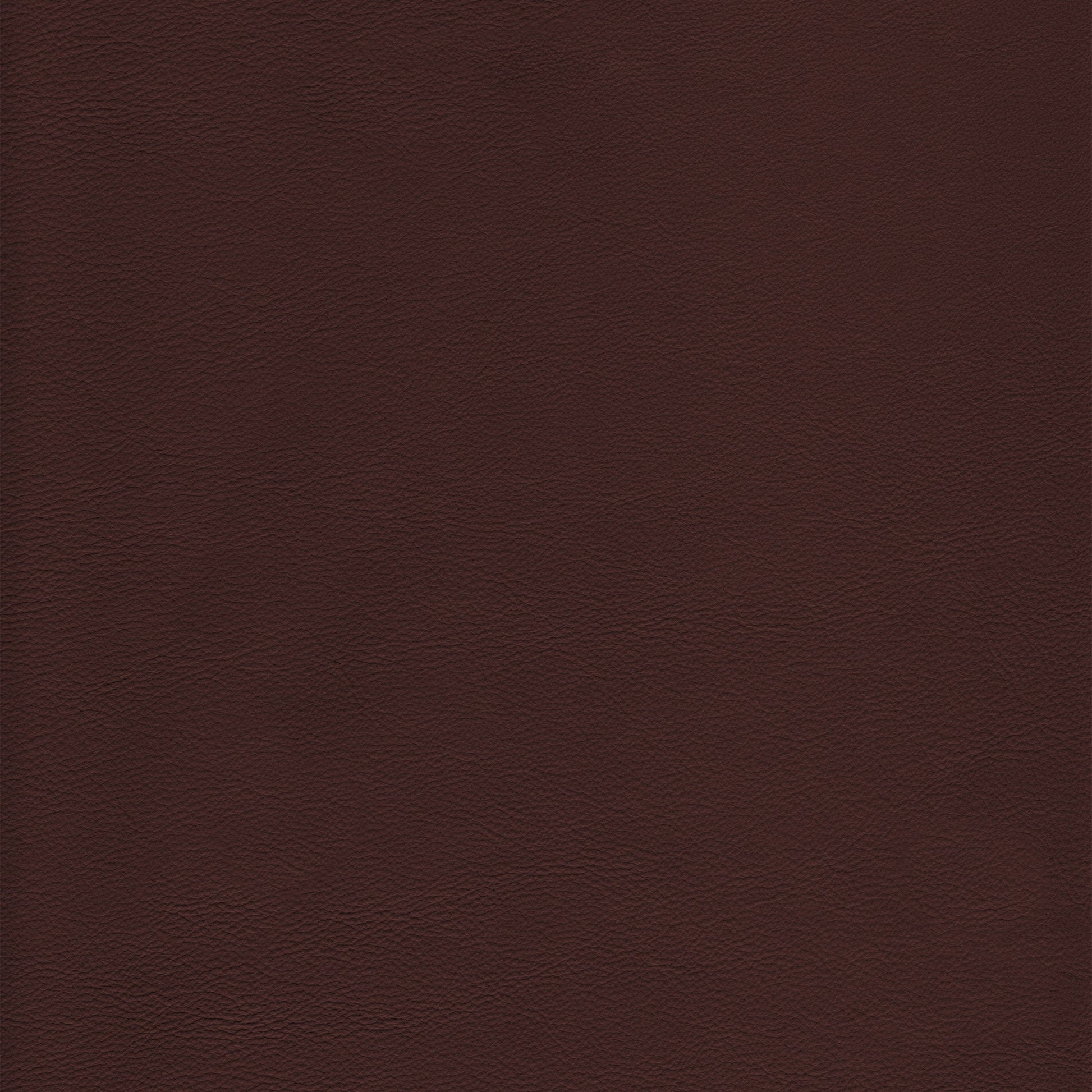 Lena 3343 Ranch: Deep brown textured leather swatch.
