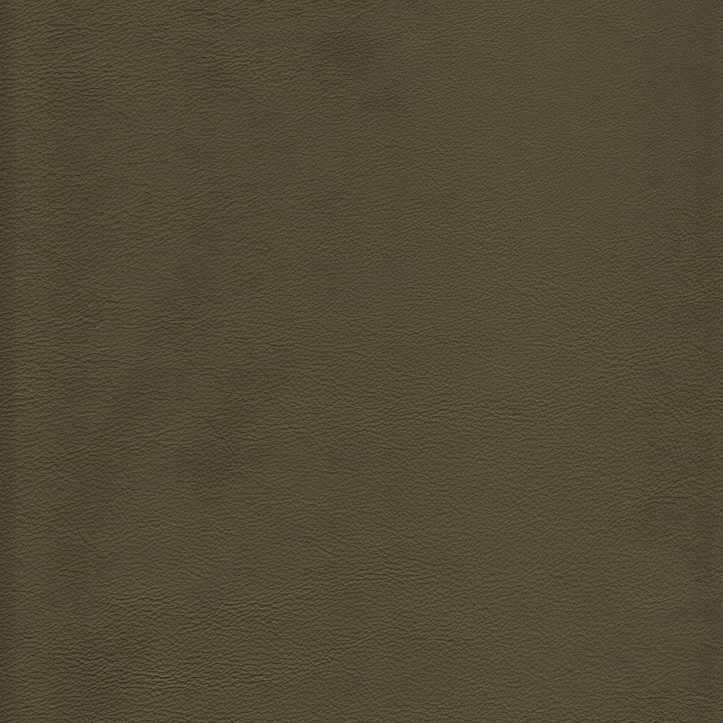 Lena 3360 Eucalyptus leather upholstery texture: rich olive-green tone.