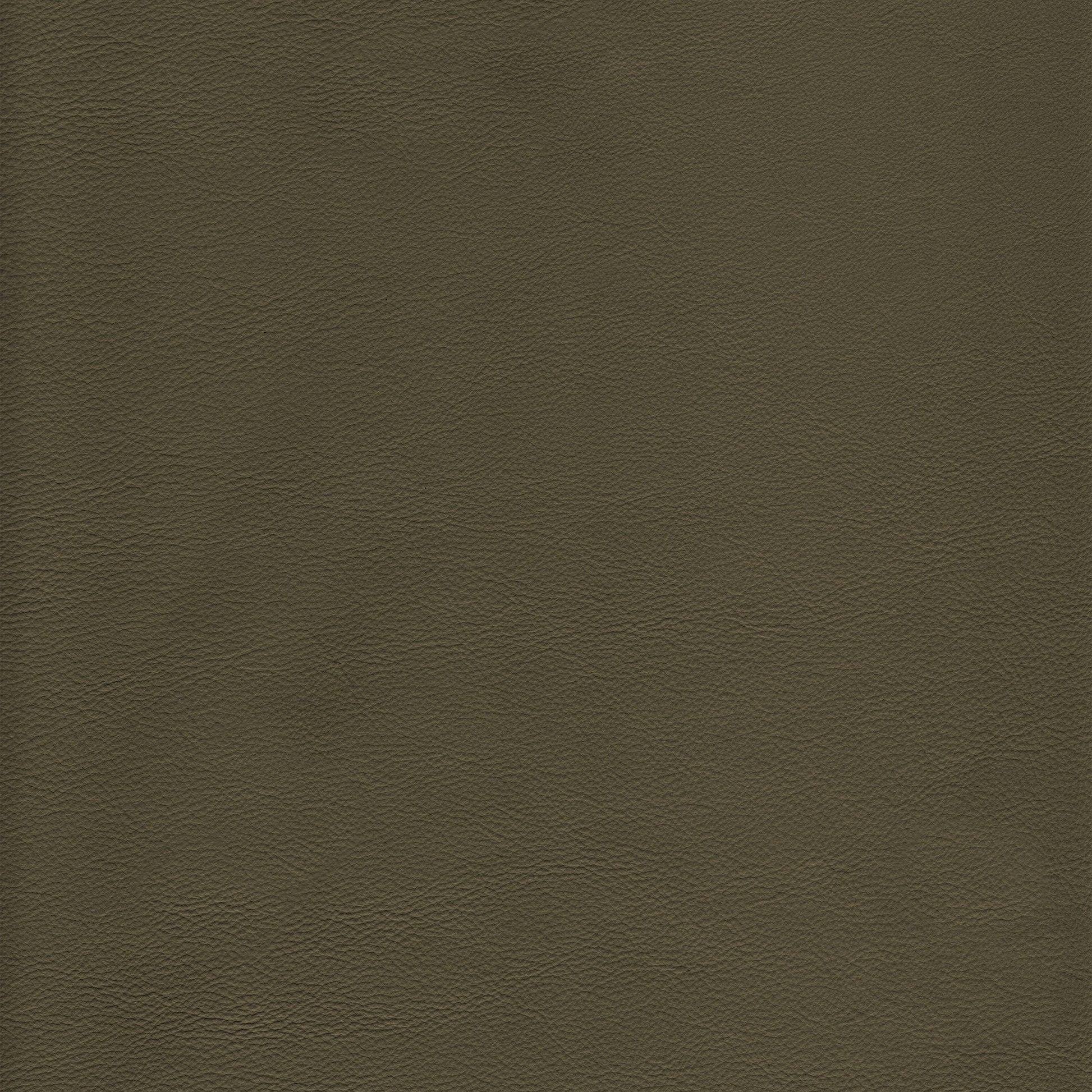 Lena 3360 Eucalyptus leather upholstery texture: rich olive-green tone.