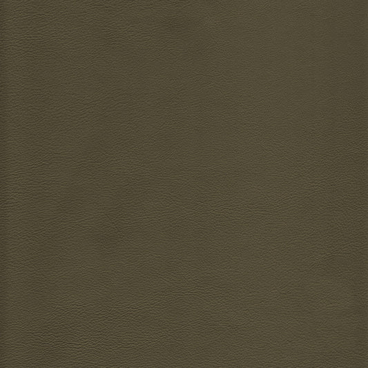 Lena 3360 Eucalyptus leather upholstery texture: rich olive-green tone.