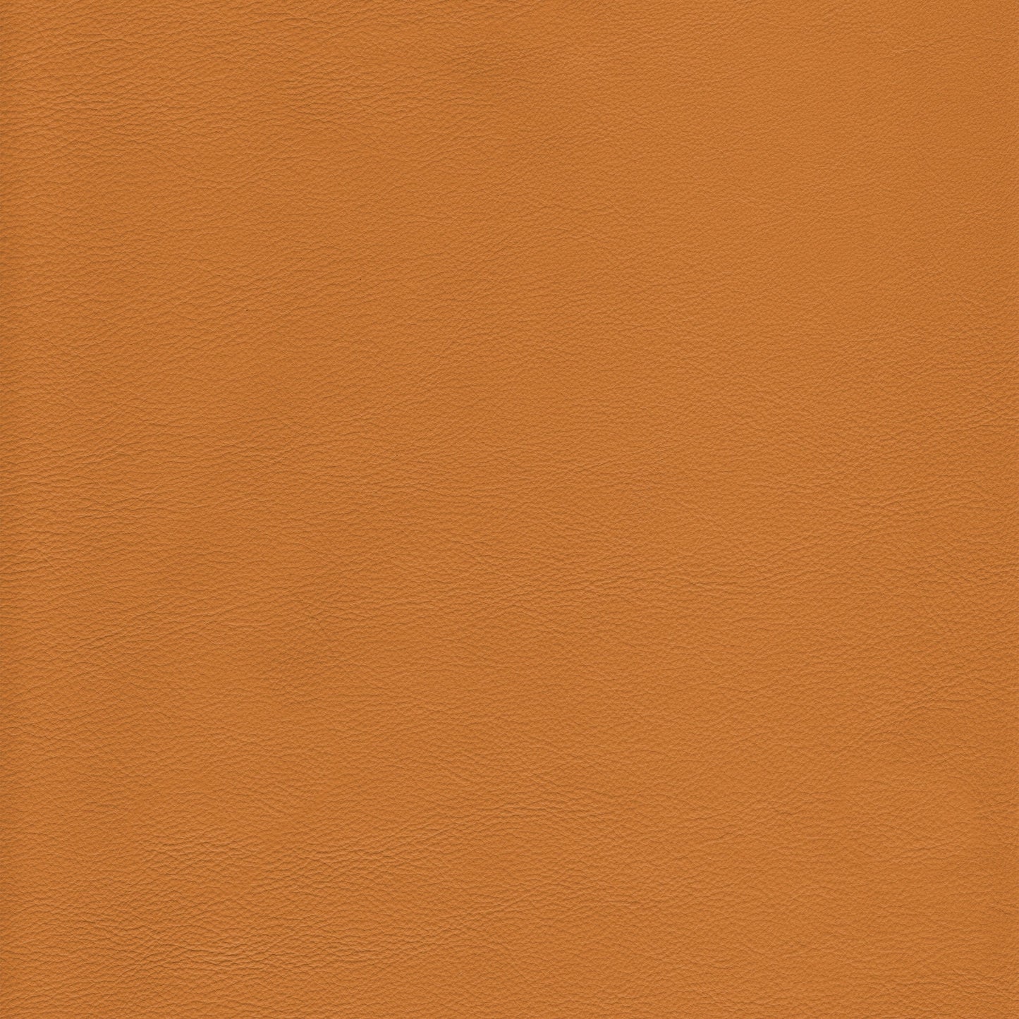 Lena 3362 Butterscotch leather swatch: rich butterscotch color.