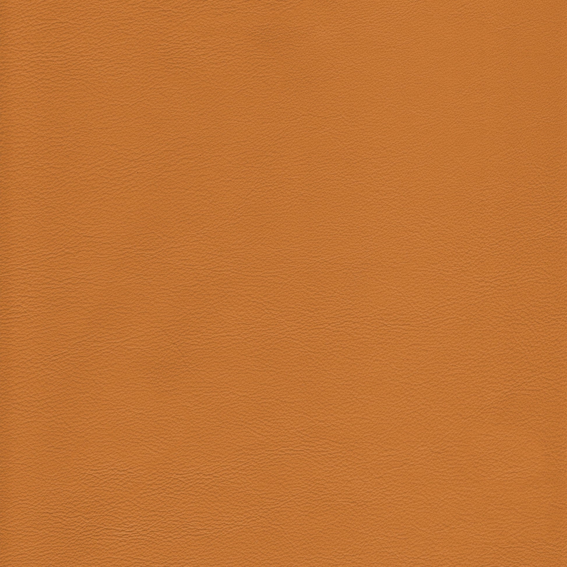 Lena 3362 Butterscotch leather swatch: rich butterscotch color.