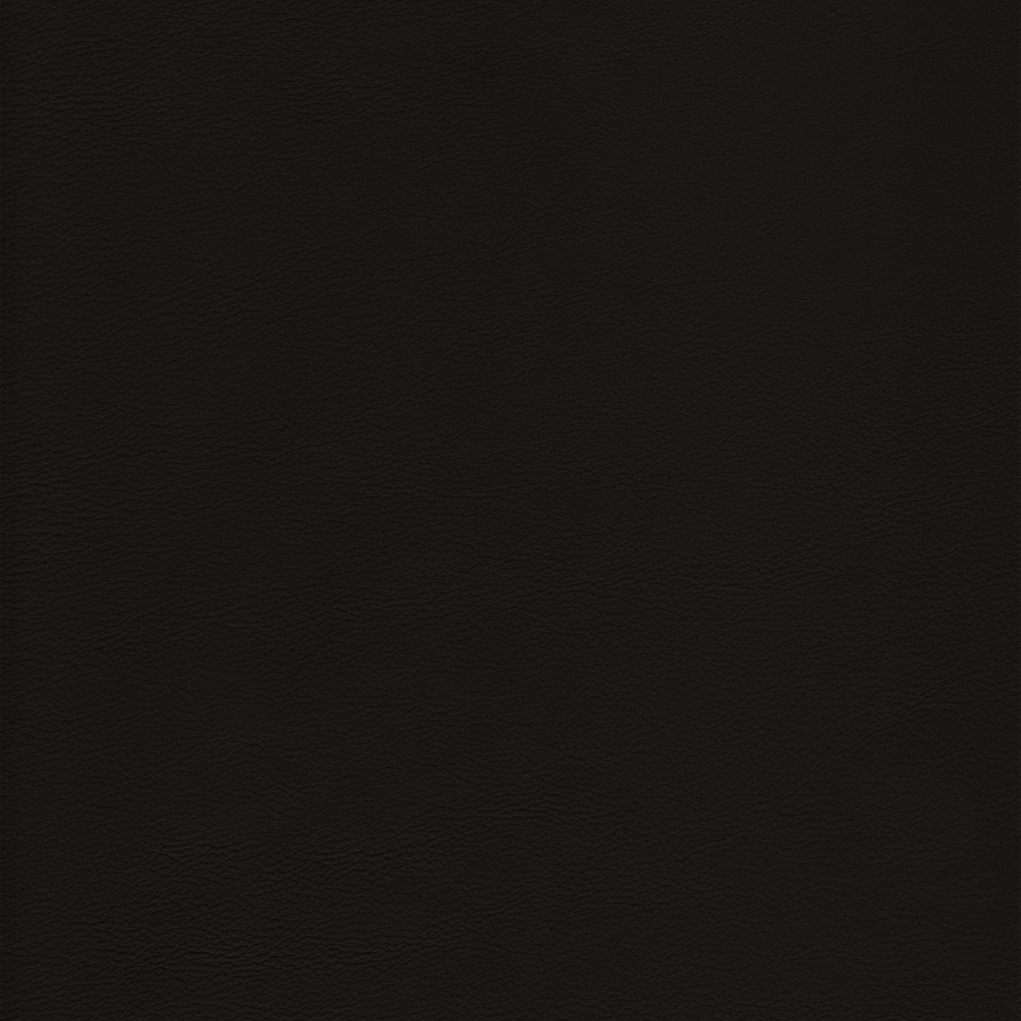 Lena 3370 Espresso leather swatch: rich dark brown, textured grain.