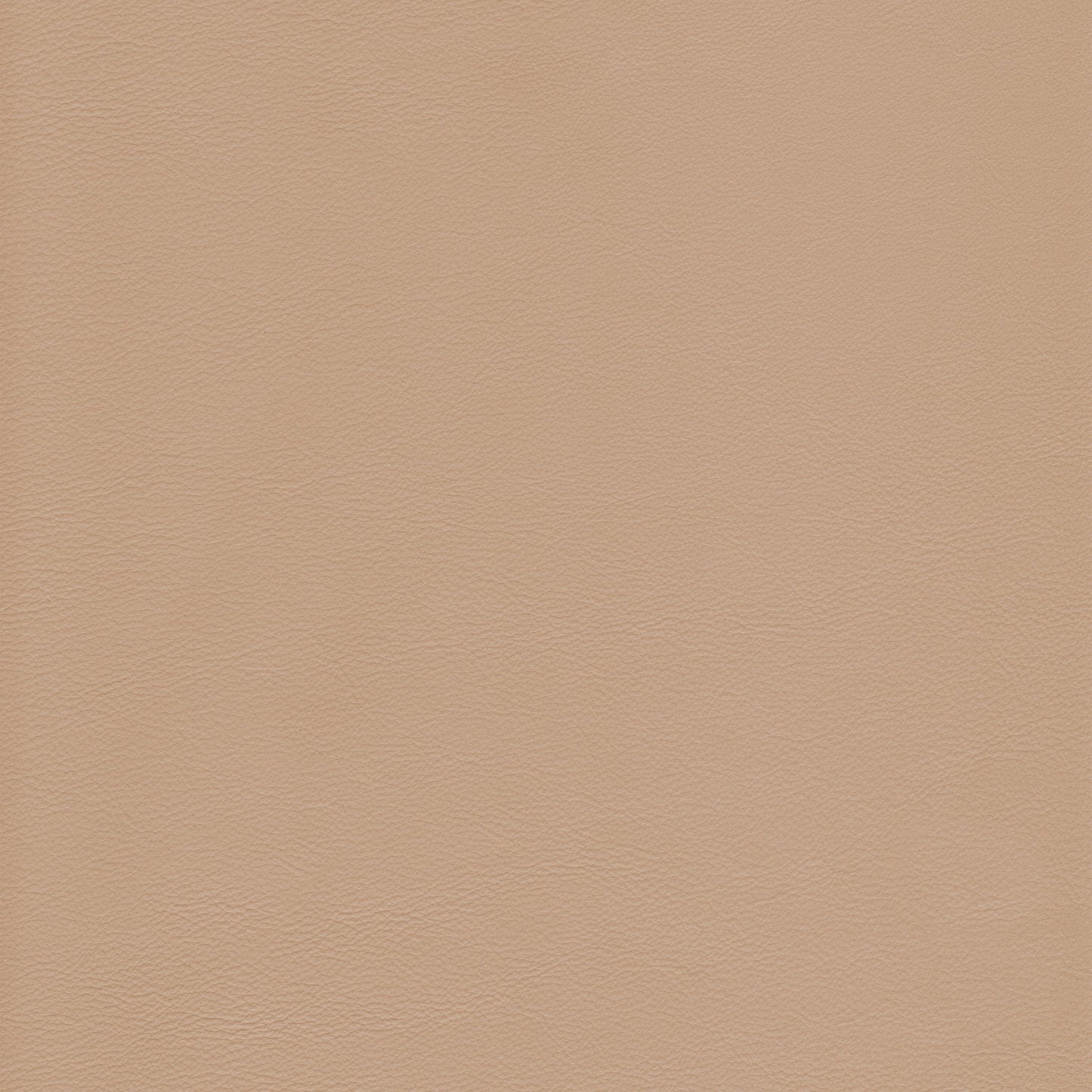Lena 3388 Putty: Light beige textured leather swatch.
