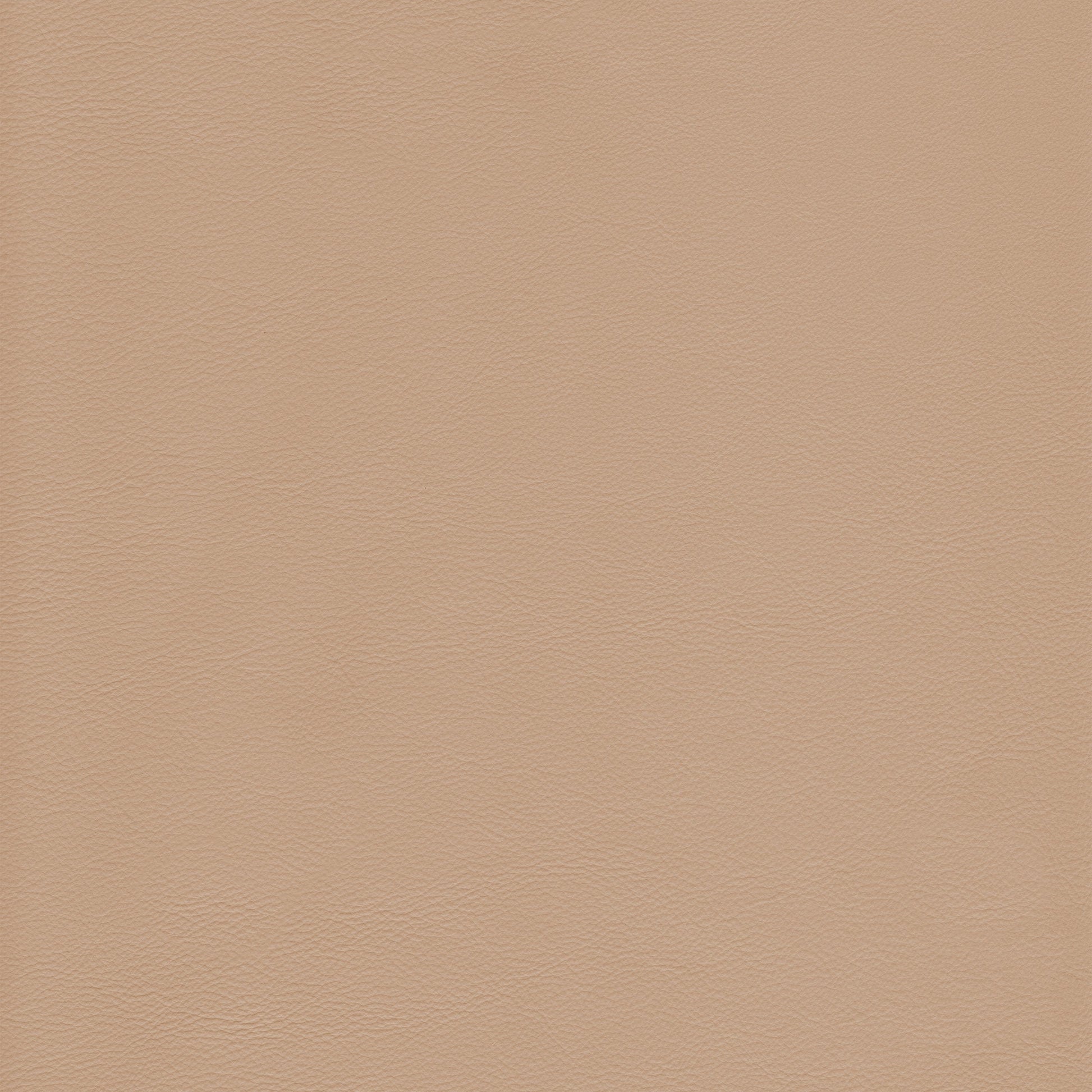 Lena 3388 Putty: Light beige textured leather swatch.