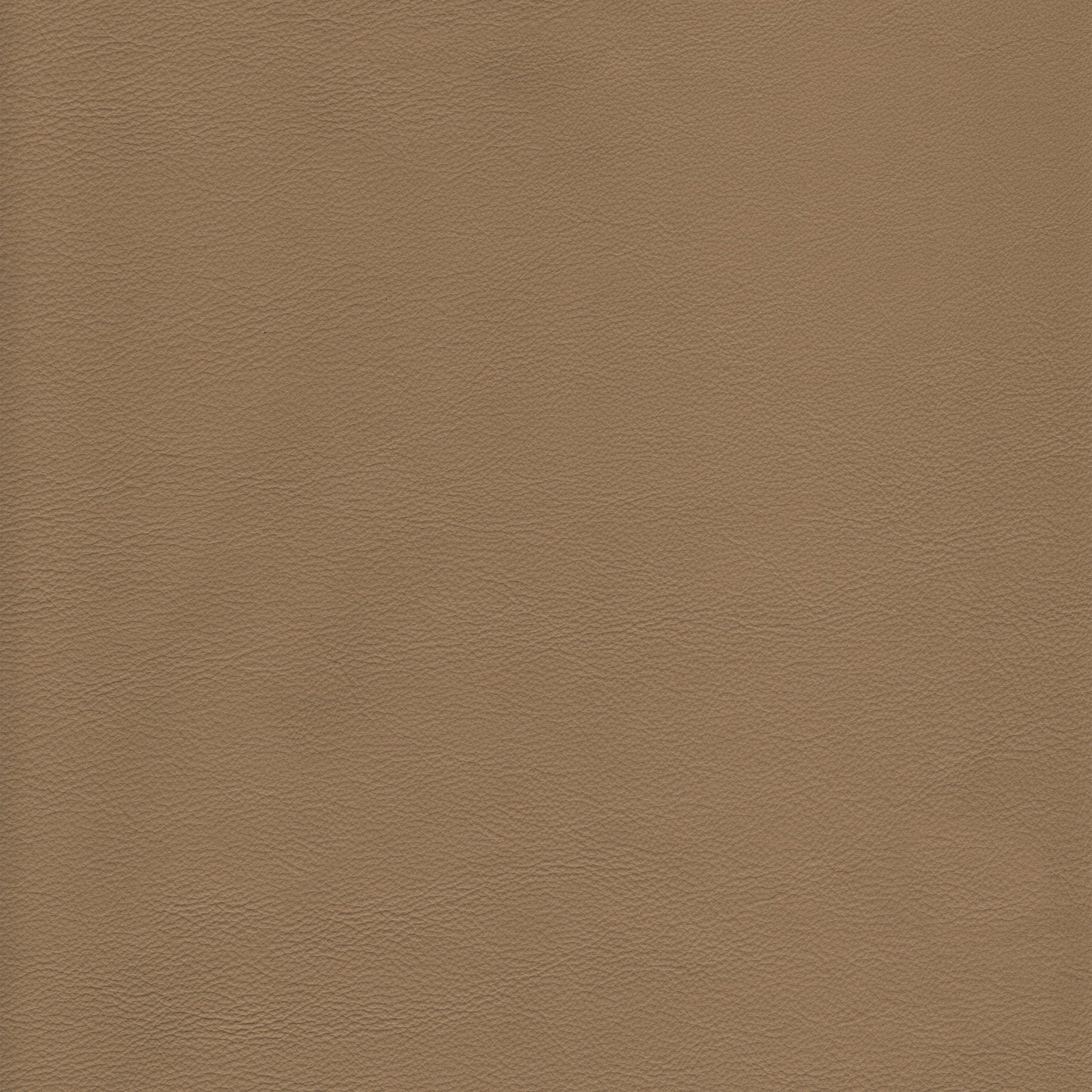 Lena 3390 Safari textured leather swatch in neutral taupe.