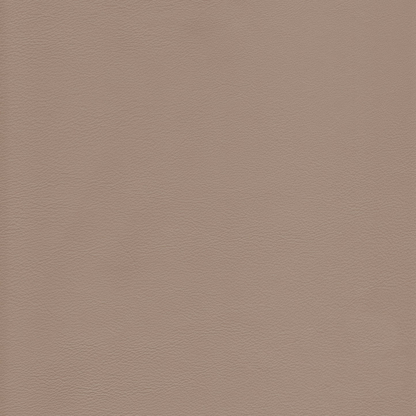 Lena 3394 Pietra leather swatch: light taupe textured leather.